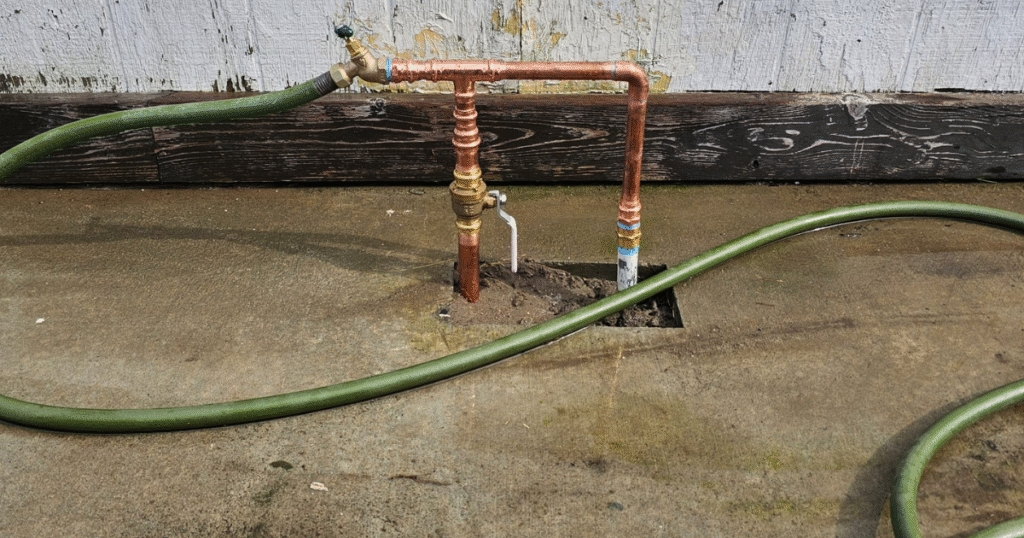 Damp Patches or Mould Growth
