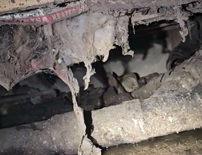 Drain cleaning in downey