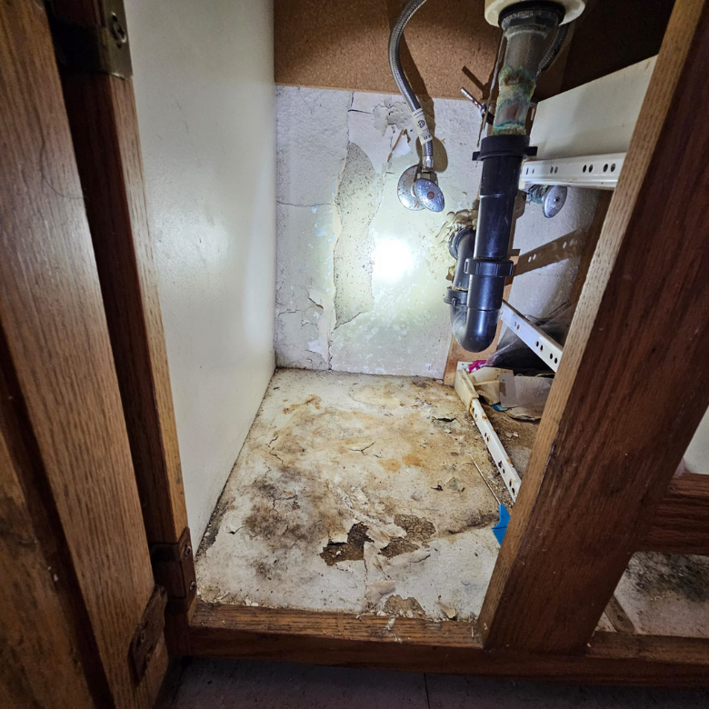 Expert Drain Cleaning in Norwalk CA