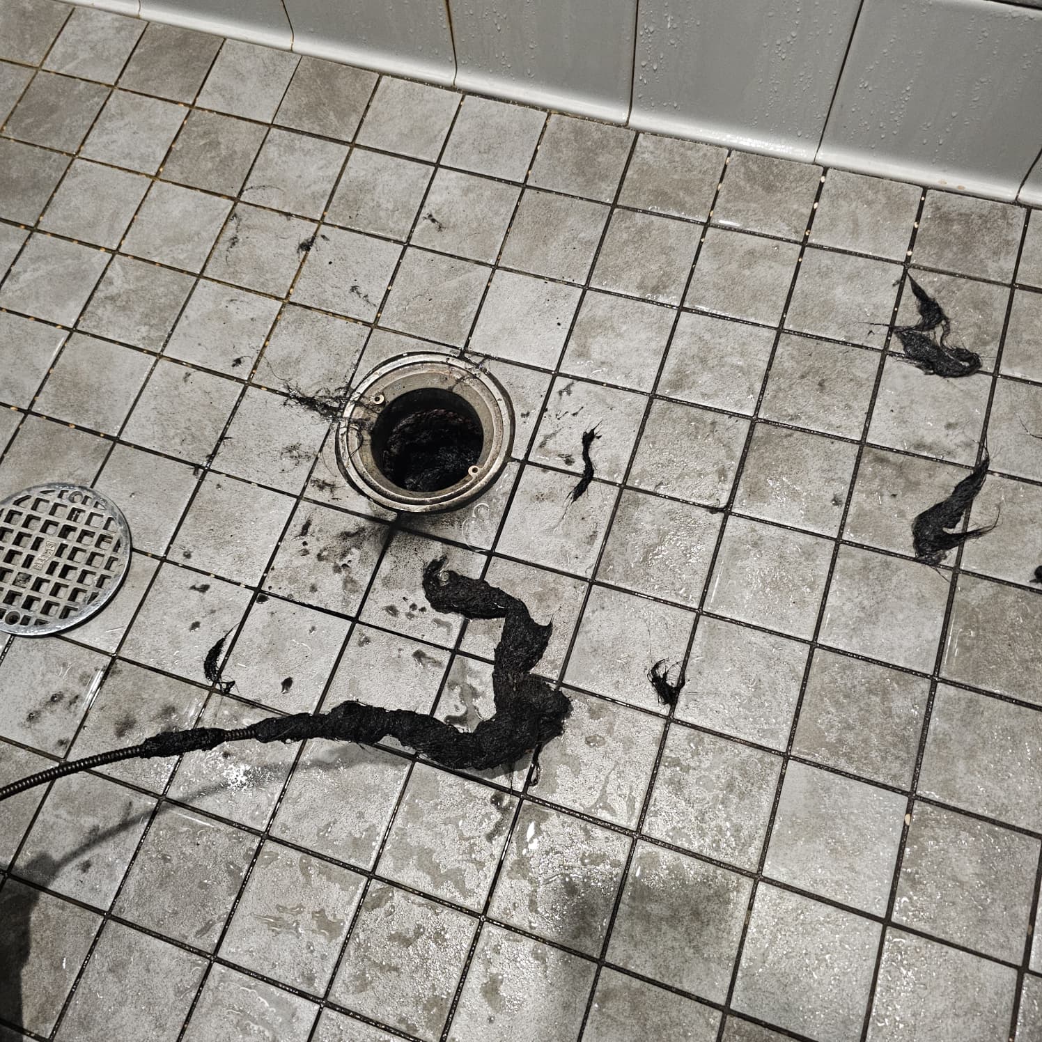 shower drain unclogged in norwalk after